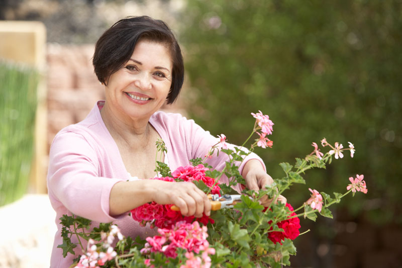 Gardening Safety Tips For Seniors | Medical Alert | LifeFone