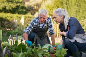 Discover Fun Hobbies That Boost Wellness and Connect You with Others